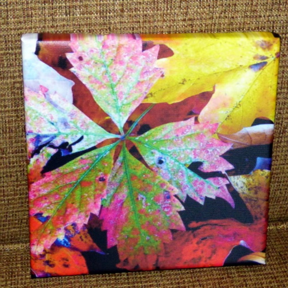 Fall leaves on canvas